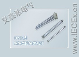 供应艾意希防爆荧光灯